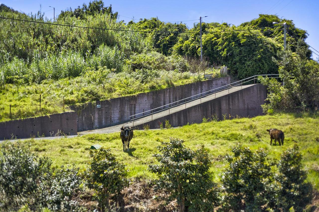 サン・ジョルジェ Casa Afonso Na Madeiraヴィラ エクステリア 写真